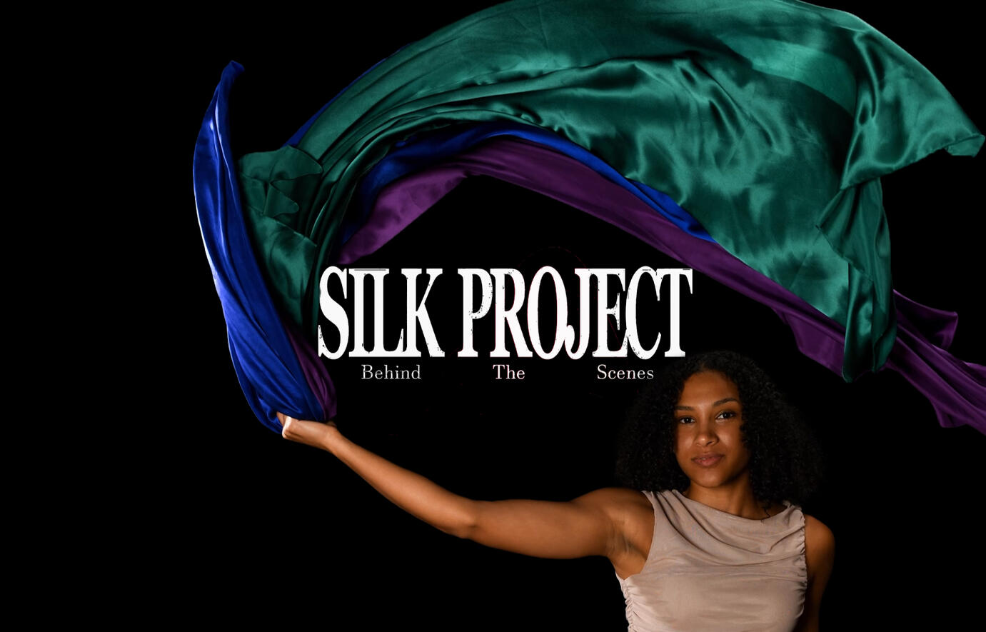 Silk Project Marketing Video